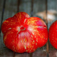 Tomato seeds «Cascade lava»