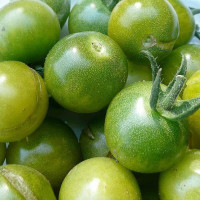 Tomato seeds «German cherry»