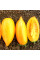 Tomato seeds «Sweet cream»