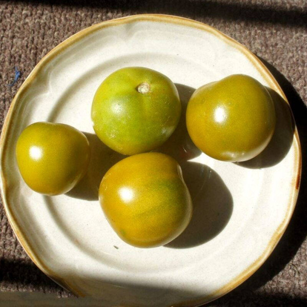 Tomato seeds «Lime green salad»