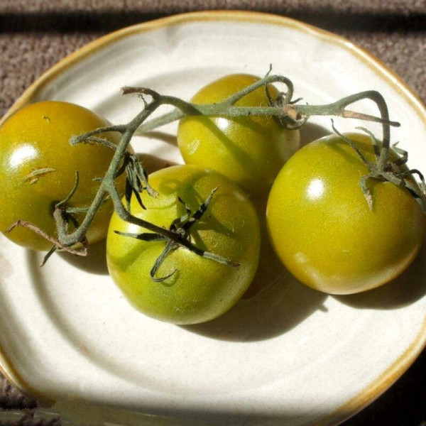 Tomato seeds «Lime green salad»