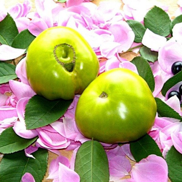 Tomato seeds «Lime green salad»