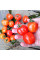 Tomato seeds «Tomatoberry»