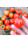 Tomato seeds «Tomatoberry»