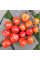 Tomato seeds «Tomatoberry»