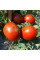 Tomato seeds «Dwarf wild Fred»