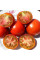 Tomato seeds «Dwarf wild Fred»