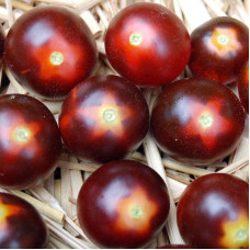 Tomato seeds «Fahrenheit blues»