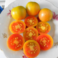 Tomato seeds «Giallo a Grappoli»