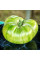 Tomato seeds «Zebra Rita»