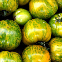 Tomato seeds «Zebra Rita»