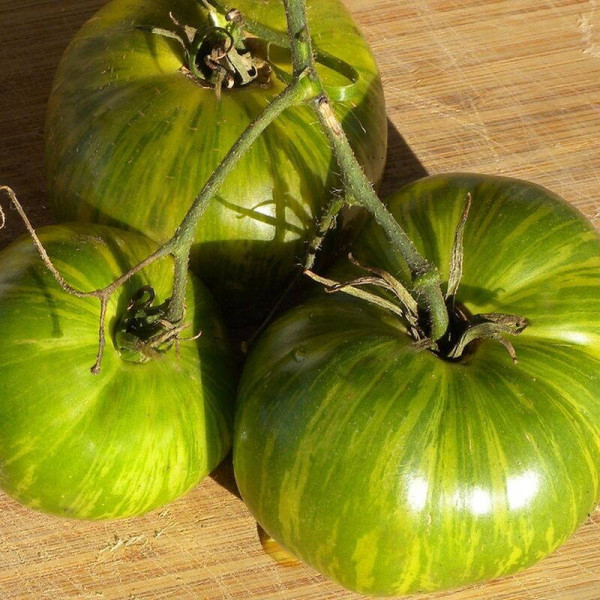 Tomato seeds «Zebra Rita»