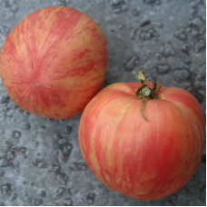 Tomato seeds «Pink furry boar»