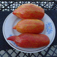 Tomato seeds «Bella»