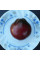 Tomato seeds «Wine jug»