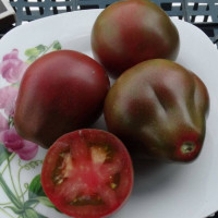 Tomato seeds «Wine jug»