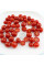 Tomato seeds «Mexiсo midget»