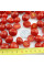 Tomato seeds «Mexiсo midget»