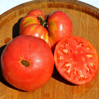 Tomato seeds «Uncle Everett»