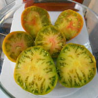 Tomato seeds «Aunt Rubys green»