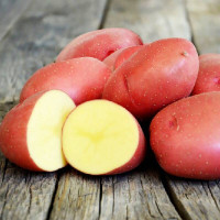 Potato seeds «Beauty»