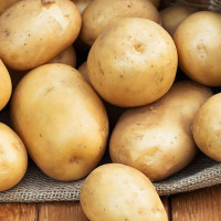 Насіння картоплі «Реванш»