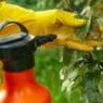 Fungicides