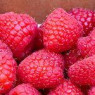 Raspberry seeds