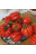 Tomato seeds «Gezahnte»
