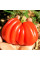 Tomato seeds «Gezahnte»