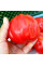 Tomato seeds «Red Figs»