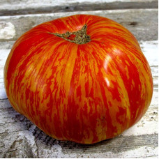Tomato seeds «Solar Flare XL»