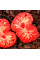Tomato seeds «Tsar's Royal Gift»