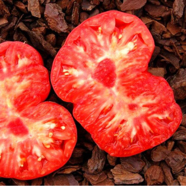 Tomato seeds «Tsar's Royal Gift»