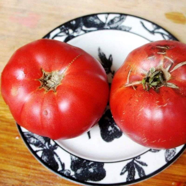 Tomato seeds «McKinley»
