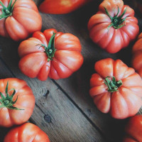 Tomato seeds «Monte rosa»