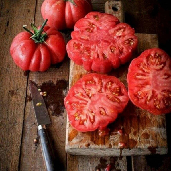 Tomato seeds «Monte rosa»