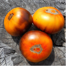 Tomato seeds «P-20 + Beauty King»