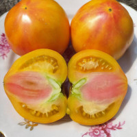 Tomato seeds «Eye of the Dingo»