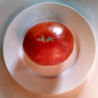 Tomato seeds «Planet»