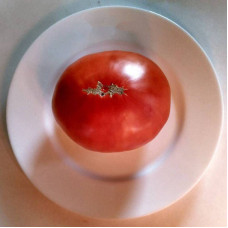 Tomato seeds «Planet»