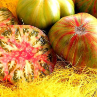 Tomato seeds «Green copia»