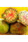 Tomato seeds «Green copia»