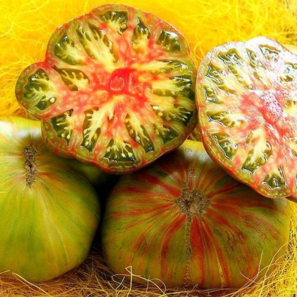 Tomato seeds «Green copia»