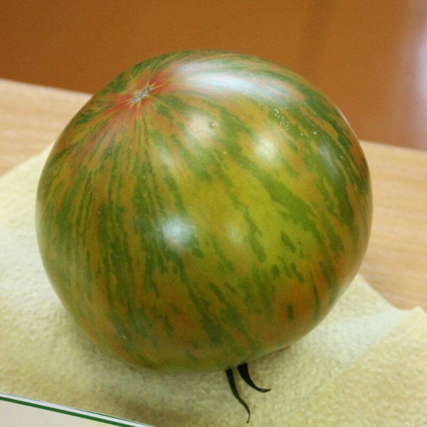 Tomato seeds «Green copia»