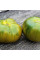 Tomato seeds «Absinthe»