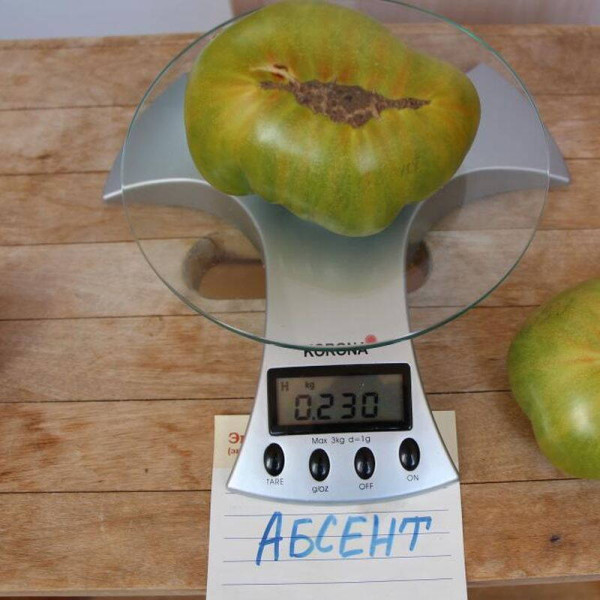 Tomato seeds «Absinthe»