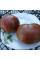 Tomato seeds «Berkeley tai dai»
