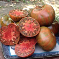 Tomato seeds «Girl girl’s weird thing»