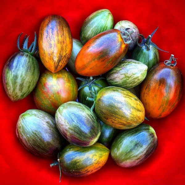 Tomato seeds «Brad’s atomic grape»